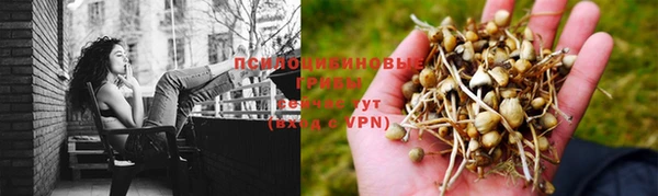 мефедрон мука Заводоуковск