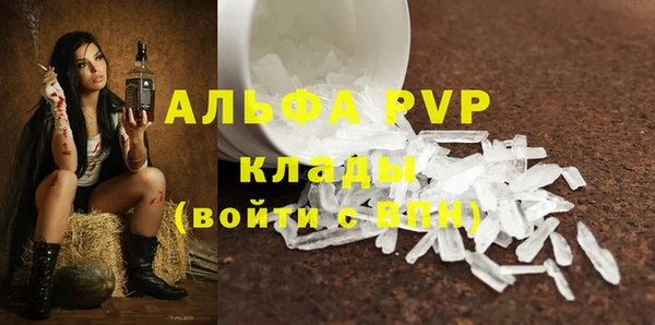 спиды Белокуриха